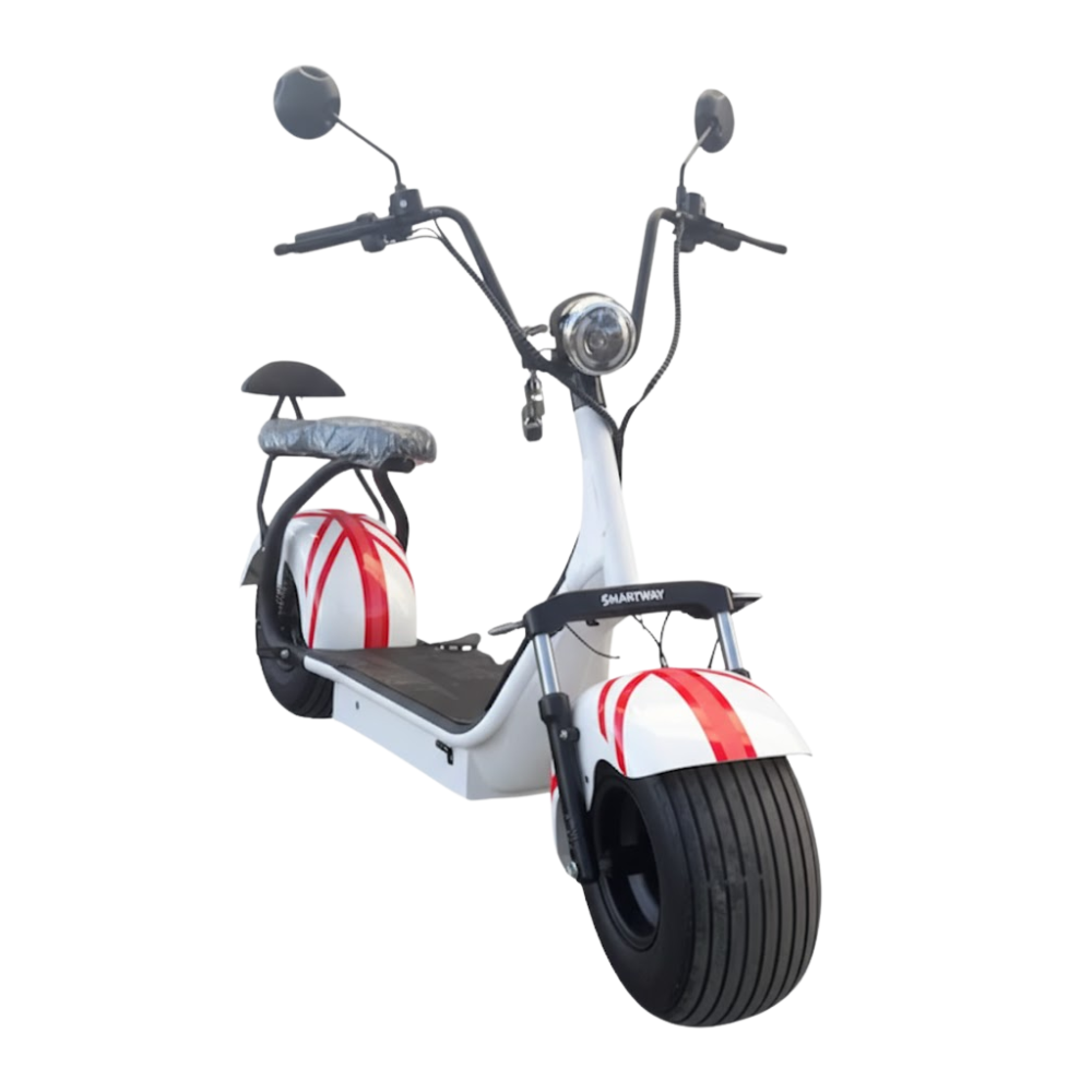 Bicicleta Elétrica Austin 1000w